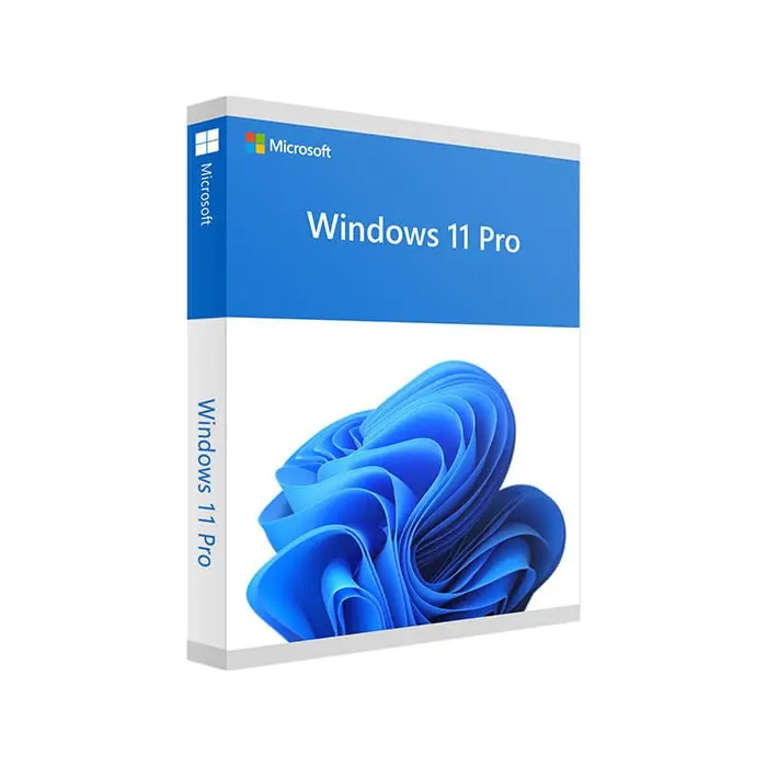 Windows 11 PRO demat